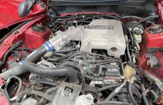 1995 Ford Mustang SVT Cobra thumbnail 5